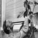 Hermann Hesse: Hiền thánh Á đông trong tấm áo Đức Hermann Hesse: Hiền thánh Á đông trong tấm áo Đức